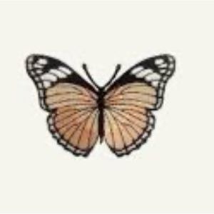 Meet your Posher, Lizzie